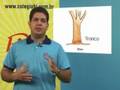 BJ - Biologia - Dicas para o Vestibular - Rodrigo Bacelar