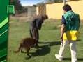 Gustavo Biosca - Bolo Suicida - Perro Policia