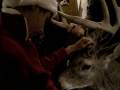 videos de Gert Gets his Deer xmas eve