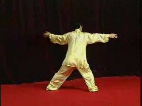 Chen Taijiquan - Xinjia Yi Lu (part 2)