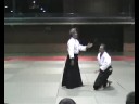 Ikkio gedan Tsuki