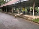skateboarding em vi�ooosaa/tupete