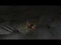 Tomb Raider Anniversary: Mummified Cat