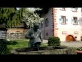 Video ansehen
