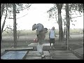 krikit montage