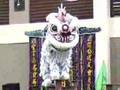 Bandar Botanic Championship - Kedah Hong Teck