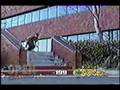 Delic Skateboards 1 Bonus