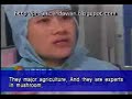 Jutawan Cendawan Wanita Korea Jutawan Cendawan Wanita Korea