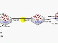 Trunking Across Cisco 2950 Switches - CCNA