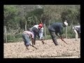 LOS DE PUKARA ( Carnavalito ) Falso Amor