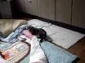 はるひ　1