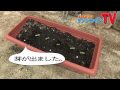 リアルサンシャイン牧場 第2回