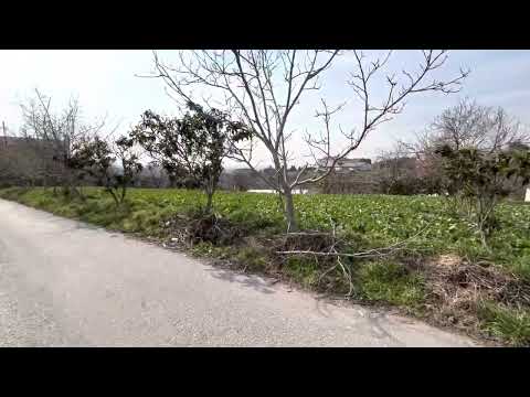 Beykoz çavuşbaşı satılık imarlı  950 m2 arsa