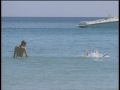 お宝 一色紗英 過激ビキニ