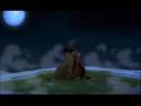 Kiara & Kovu Mille et une nuits Kiara & Kovu Mille et une nuits