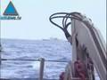 Une coopération stratégique: Exercice naval conjoint entre l