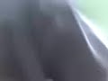 PELEA DE AWEONAOS