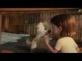 scene-from-Bolt