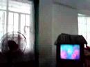 Alconga\ Alconga\