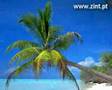 Overseas Property Portugal Silver Coast Ferreira do Zezere