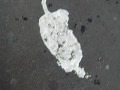 Art éphémère