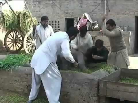 pakistani punjabi funny song