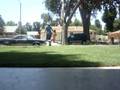 playin in the front yard