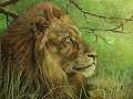 Nico Bulder wildlife painter [Africa paintings]