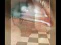 Ceyhun Y�lmaz   �iir