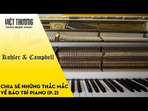 Những câu hỏi xung quanh về việc bảo trì đàn piano (Phần 2)