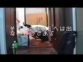 おならで警報機がなるか確かめてみた