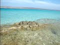 Italy,Sardinia,Stintino 