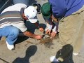 Fishing off the pier