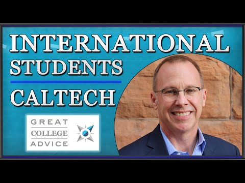 Nursing essay writing services image