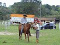JOAO GINETIADA