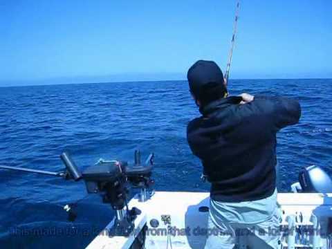 North Cal Sportfishing - A trip aboard North Cal Sportfishing with Captain Khanh for a day of fishing out of Santa Cruz with northcalsportfishing.com. We boated a few nice fish on a ...