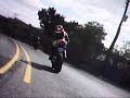 LSD in the HC LSD in the HC