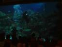 Aquaria KLCC Aquaria KLCC