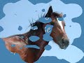 me painting a horse...speeded up me painting a horse...speeded up