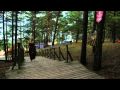 Skatīties Video