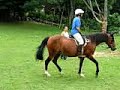 Mom's horseback riding lesson trot without stirrups