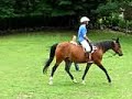 Mom's horseback riding lesson trot without stirrups