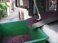 D�cuvage Pinot Noir