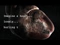 Susan Majek In Space Heart