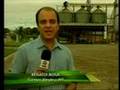 BIODIESEL NO BRASIL É FEITO COM SOJA