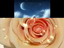 serdar-kendine-iyi-bak-by-exodus-.html