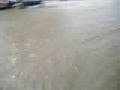 crazy calgary rain storm