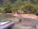 Tallship Soren Larsen Vanuatu Banks 2