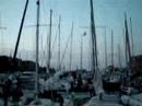 kerst-uit-sneek-beuken.html