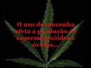 Drogas e Consciência